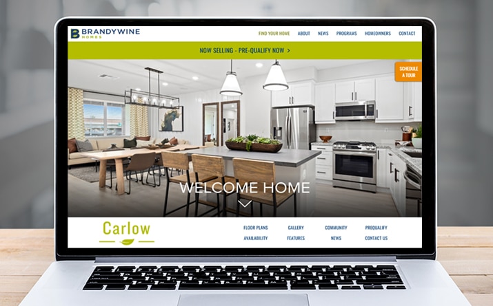 Carlow Website