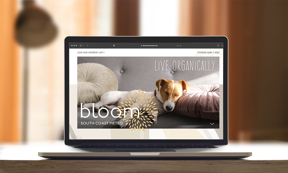 Bloom Website Launch